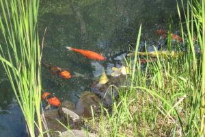 海老名旅2009年8月